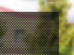 Perforated OWV pvc vinyl